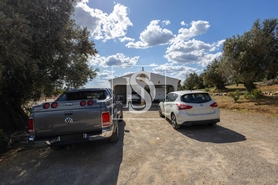 Quinta T4 - Cabe�o de Vide, Fronteira, Portalegre - Miniatura: 18/54