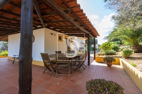 Quinta T4 - Cabe�o de Vide, Fronteira, Portalegre - Miniatura: 40/54