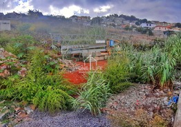 Terreno Rstico T0 - Santo Antnio, Funchal, Ilha da Madeira - Miniatura: 5/16