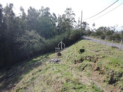 Terreno Rstico T0 - Camacha, Santa Cruz, Ilha da Madeira - Miniatura: 2/23
