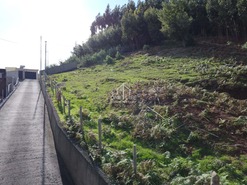 Terreno Rstico T0 - Camacha, Santa Cruz, Ilha da Madeira - Miniatura: 2/11
