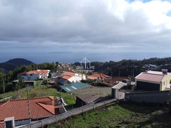 Terreno Rstico T0 - Camacha, Santa Cruz, Ilha da Madeira - Miniatura: 9/11
