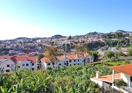 Terreno Rstico T0 - Imaculado Corao Maria, Funchal, Ilha da Madeira - Miniatura: 10/21