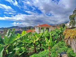 Terreno Rstico T0 - Imaculado Corao Maria, Funchal, Ilha da Madeira - Miniatura: 19/21