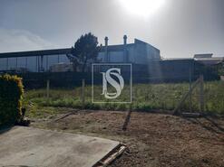 Terreno R�stico - Antas, Esposende, Braga - Miniatura: 7/8
