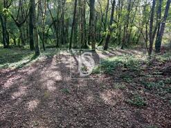 Terreno R�stico - Antas, Esposende, Braga