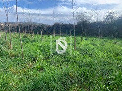 Terreno Rstico T0 - Alheira, Barcelos, Braga - Miniatura: 2/9