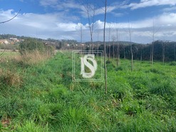 Terreno Rstico T0 - Alheira, Barcelos, Braga - Miniatura: 3/9