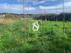 Terreno Rstico T0 - Alheira, Barcelos, Braga - Miniatura: 4/9