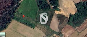 Terreno Rstico T0 - Alheira, Barcelos, Braga - Miniatura: 6/9