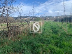 Terreno Rstico T0 - Alheira, Barcelos, Braga - Miniatura: 9/9