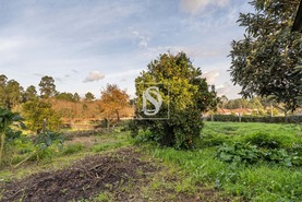 Moradia T4 - Alvar�es, Viana do Castelo, Viana do Castelo - Miniatura: 29/34