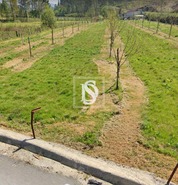 Terreno R�stico T0 - Gaifar, Ponte de Lima, Viana do Castelo - Miniatura: 4/12