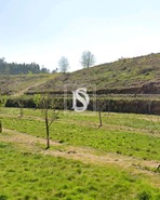 Terreno R�stico T0 - Gaifar, Ponte de Lima, Viana do Castelo - Miniatura: 8/12