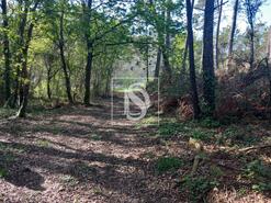 Terreno R�stico - Antas, Esposende, Braga - Miniatura: 5/8