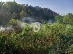 Terreno R�stico - Antas, Esposende, Braga - Miniatura: 8/8