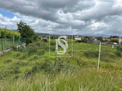 Terreno R�stico T0 - Friestas, Valen�a, Viana do Castelo - Miniatura: 5/15