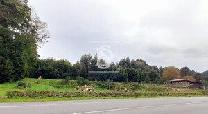 Terreno Rstico T0 - Lanhelas, Caminha, Viana do Castelo - Miniatura: 6/14