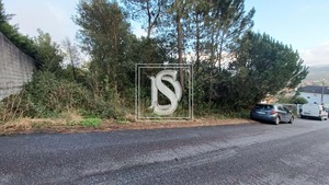 Terreno R�stico T0 - Anha, Viana do Castelo, Viana do Castelo - Miniatura: 1/16