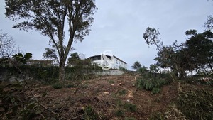 Terreno R�stico T0 - Anha, Viana do Castelo, Viana do Castelo - Miniatura: 3/16