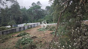 Terreno R�stico T0 - Anha, Viana do Castelo, Viana do Castelo - Miniatura: 4/16