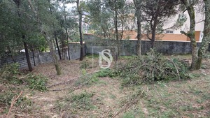 Terreno R�stico T0 - Anha, Viana do Castelo, Viana do Castelo - Miniatura: 5/16