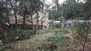 Terreno R�stico T0 - Anha, Viana do Castelo, Viana do Castelo - Miniatura: 6/16