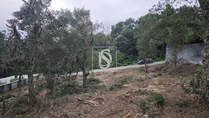 Terreno R�stico T0 - Anha, Viana do Castelo, Viana do Castelo - Miniatura: 7/16