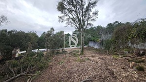 Terreno R�stico T0 - Anha, Viana do Castelo, Viana do Castelo - Miniatura: 8/16