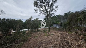 Terreno R�stico T0 - Anha, Viana do Castelo, Viana do Castelo - Miniatura: 9/16