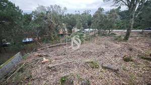 Terreno R�stico T0 - Anha, Viana do Castelo, Viana do Castelo - Miniatura: 10/16