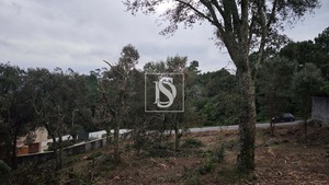 Terreno R�stico T0 - Anha, Viana do Castelo, Viana do Castelo - Miniatura: 11/16