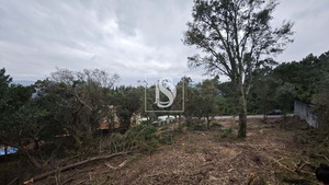 Terreno R�stico T0 - Anha, Viana do Castelo, Viana do Castelo - Miniatura: 12/16