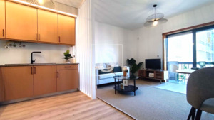 Apartamento T1 - Chaf, Viana do Castelo, Viana do Castelo - Miniatura: 3/27
