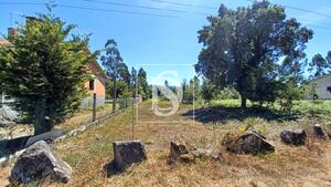 Terreno R�stico - Fragoso, Barcelos, Braga - Miniatura: 3/29