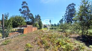 Terreno R�stico - Fragoso, Barcelos, Braga - Miniatura: 18/29