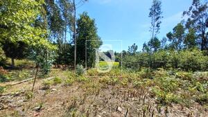 Terreno R�stico - Fragoso, Barcelos, Braga - Miniatura: 27/29