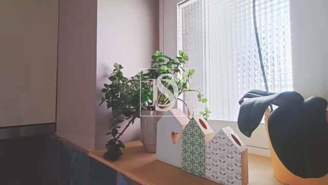 Apartamento T0 - Viana do Castelo, Viana do Castelo, Viana do Castelo - Imagem grande