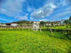 Terreno Rstico T0 - Outeiro, Viana do Castelo, Viana do Castelo - Miniatura: 2/12