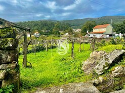 Terreno Rstico T0 - Outeiro, Viana do Castelo, Viana do Castelo - Miniatura: 3/12
