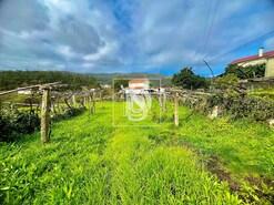 Terreno Rstico T0 - Outeiro, Viana do Castelo, Viana do Castelo - Miniatura: 10/12