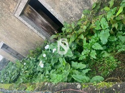 Moradia T4 - Vila de Punhe, Viana do Castelo, Viana do Castelo - Miniatura: 6/41