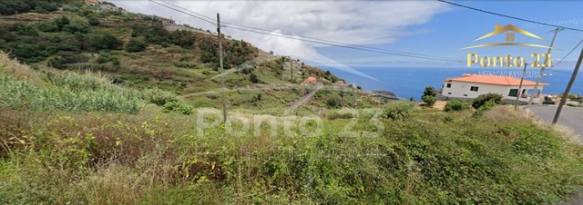 Terreno R�stico T0 - Tabua, Ribeira Brava, Ilha da Madeira - Imagem grande