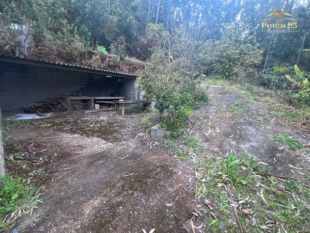 Terreno R�stico T0 - Arco de S�o Jorge, Santana, Ilha da Madeira - Imagem grande