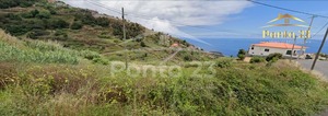 Terreno R�stico T0 - Tabua, Ribeira Brava, Ilha da Madeira