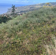 Terreno R�stico T0 - Santa Cruz, Santa Cruz, Ilha da Madeira - Miniatura: 9/11