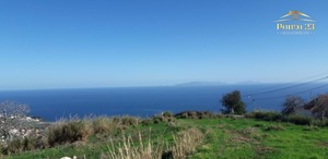 Terreno R�stico T0 - Santa Cruz, Santa Cruz, Ilha da Madeira - Miniatura: 1/11