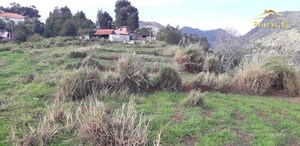 Terreno R�stico T0 - Santa Cruz, Santa Cruz, Ilha da Madeira - Miniatura: 4/11