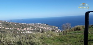 Terreno R�stico T0 - Santa Cruz, Santa Cruz, Ilha da Madeira - Miniatura: 5/11