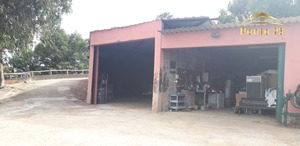 Terreno R�stico T0 - Santa Cruz, Santa Cruz, Ilha da Madeira - Miniatura: 8/11